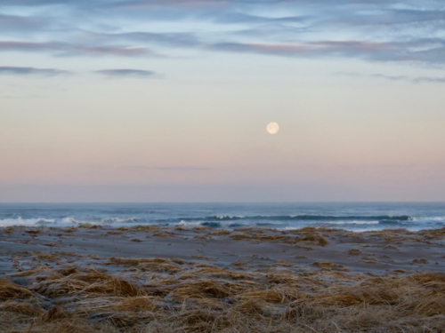 Moon setting over Del Rey Beach, early morning
